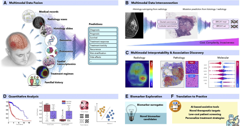 How can multimodal models improve disease diagnosis in biomedicine?-Universal Navigator